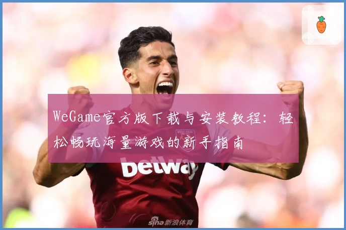 WeGame官方版下载与安装教程：轻松畅玩海量游戏的新手指南