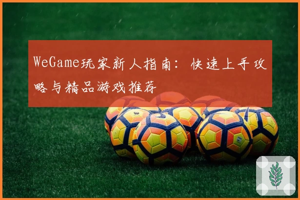 WeGame玩家新人指南：快速上手攻略与精品游戏推荐