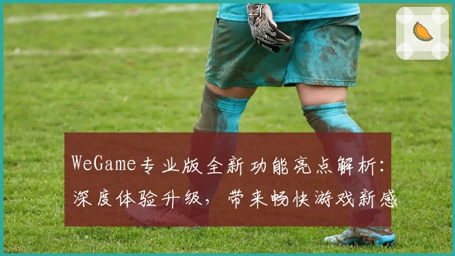WeGame专业版全新功能亮点解析：深度体验升级，带来畅快游戏新感受