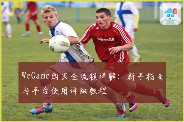 WeGame购买全流程详解：新手指南与平台使用详细教程