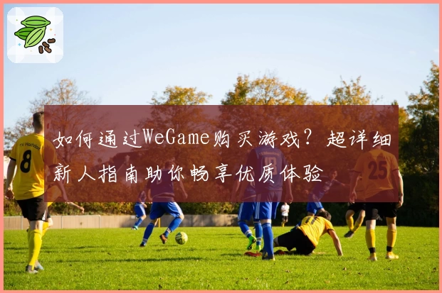 如何通过WeGame购买游戏？超详细新人指南助你畅享优质体验