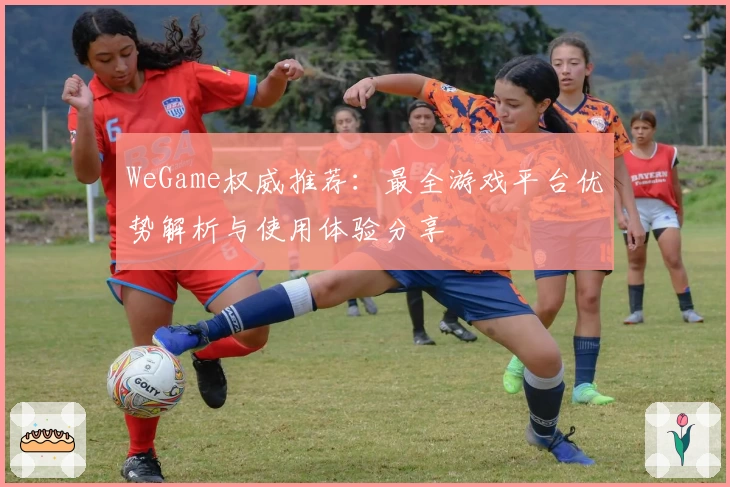 WeGame权威推荐：最全游戏平台优势解析与使用体验分享